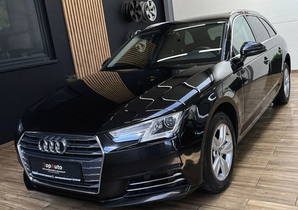 Audi A4 cena 69900 przebieg: 227000, rok produkcji 2017 z Zawidów małe 781